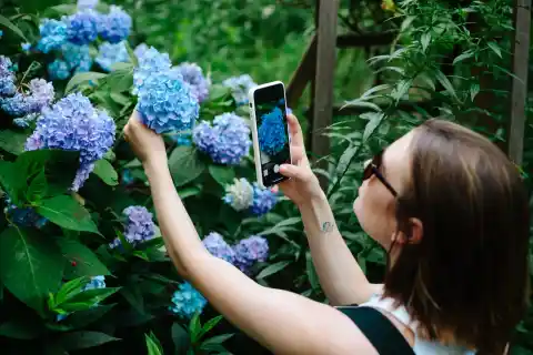 Imagen 1 de La belleza del retrato botánico: cómo fotografiar plantas conserva el jardín fresco en la memoria