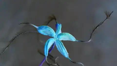 Imagen 1 de Las estrellas como inspiración del arte