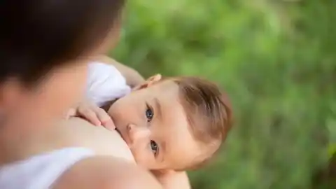 Imagen 1 de Descubren cómo la lactancia refuerza la inmunidad contra el cáncer de mama