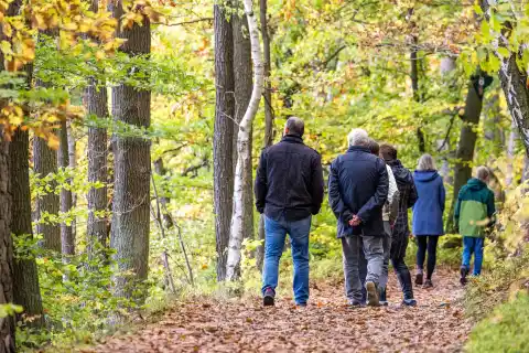 Imagen 1 de Cómo adaptarse al otoño: la luz y los hábitos influyen en el ánimo y la energía que tenemos