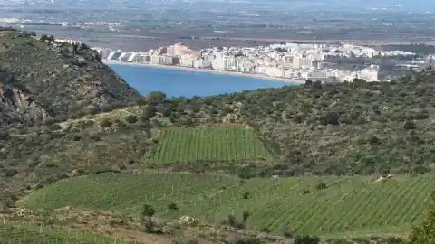 Imagen 1 de El paisaje mosaico alumbra viña con valor añadido