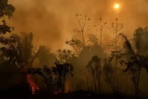 Imagen 1 de ¿Pueden América Latina y el Caribe llegar con un frente unido a la COP30?