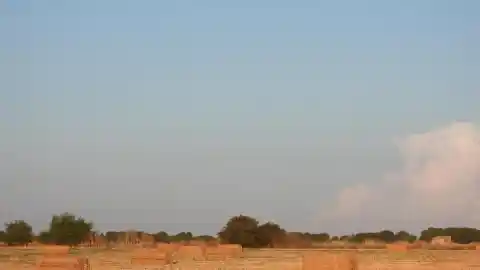 Imagen 1 de Reto visual: ¿Eres capaz de ver los cuervos en menos de 30 segundos?