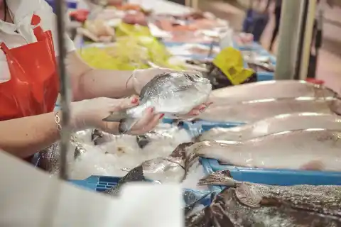 Imagen 1 de Pescado de acuicultura: una suerte para todos y para el medio ambiente