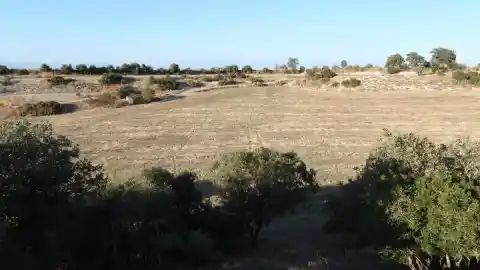 Imagen 1 de ¿Eres capaz de ver al conejo en menos de 30 segundos?