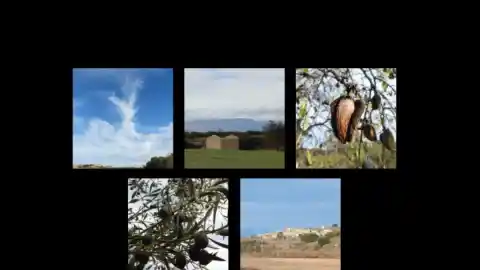 Imagen 1 de Los paisajes del otoño en el Urgell