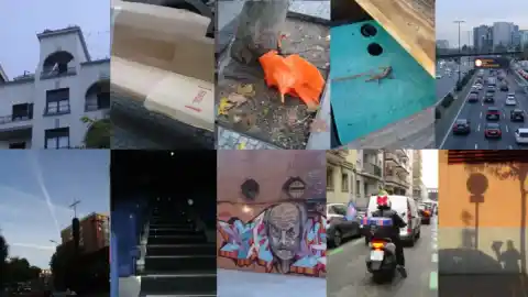 Imagen 1 de Del fantasma del ático a la alegoría de Platón