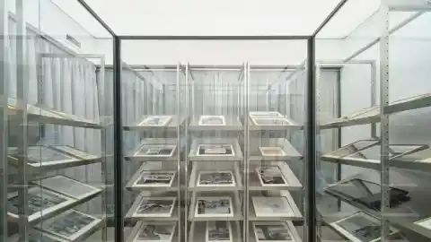 Imagen 1 de Galería de archivos