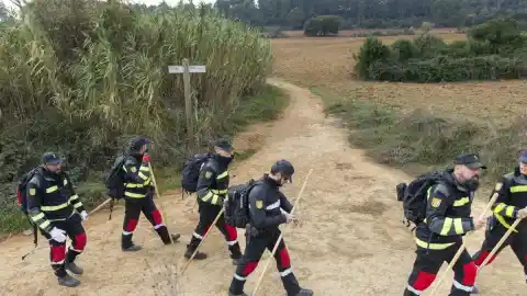 Imagen 1 de El bocadillo contaminado, una fuga de laboratorio y otros mitos de la peste porcina africana, verificados