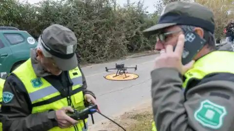 Imagen 1 de Bruselas desaconseja la caza descontrolada que pueda ahuyentar a los jabalíes