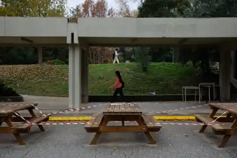 Imagen 1 de Cataluña prohíbe acceder al medio natural en los 91 municipios del foco de la peste