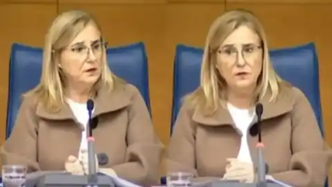 Imagen 1 de Así se ha sentido el fuerte terremoto de Fuengirola en plena sesión del Ayuntamiento: la alcaldesa continúa con su discurso