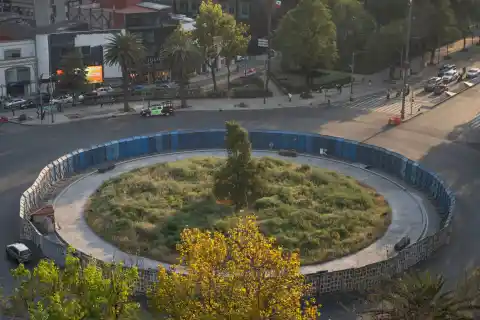 Imagen 1 de Un árbol como cuestión de Estado en México 