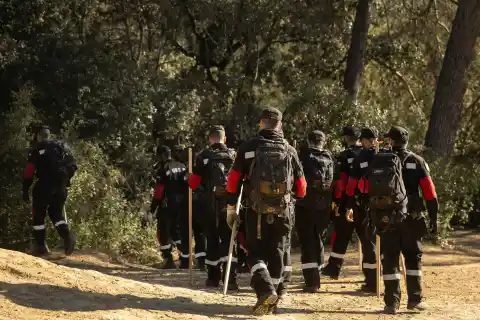 Imagen 1 de La Generalitat acuerda con los ganaderos el sacrificio de 30.000 cerdos sanos en el foco de infección de peste porcina