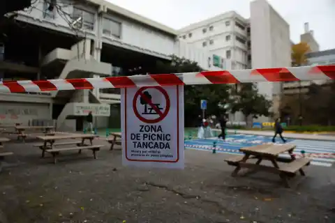 Imagen 1 de Convivir con la peste porcina en el campus universitario: “Ha venido de golpe, como la pandemia”