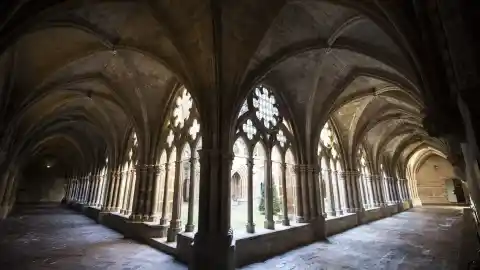 Imagen 1 de El rincón de Aragón donde se encuentra el origen de la Garnacha