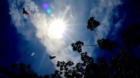 Imagen 1 de Anestesia colectiva