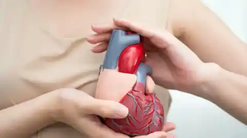 Imagen 1 de Los microplásticos podrían agravar las enfermedades cardíacas