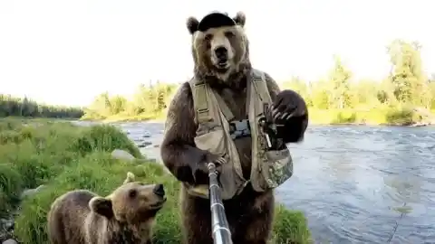 Imagen 1 de El engaño de los vídeos de animales hechos con IA y el aumento del deseo de mascotas exóticas