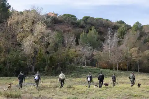 Imagen 1 de Senglars, natura i llenguatge