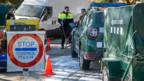 Imagen 1 de Cataluña declarará la emergencia por la peste porcina africana