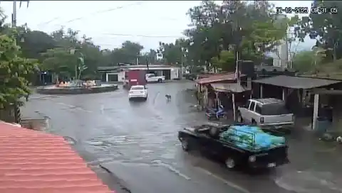Imagen 1 de Harfuch confirma que dos personas iban a bordo del coche bomba de Coahuayana