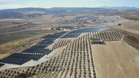Imagen 1 de Hallan una necrópolis ibérica del siglo VI a.C. en la planta solar de Caparacena, Granada