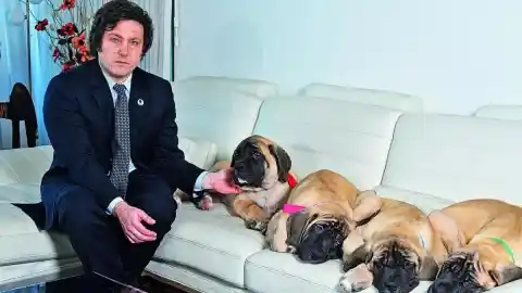 Imagen 1 de Clonar mascotas se ha convertido en una tendencia entre millonarios que sigue hasta Javier Milei: “El vínculo emocional sigue siendo único e irrepetible”