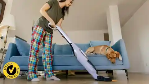 Imagen 1 de He probado los mejores aspiradores si tienes mascota en casa