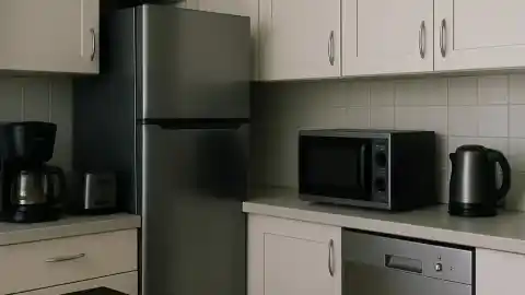 Imagen 1 de Plan Renove de Electrodomésticos en Madrid: requisitos, ayudas...