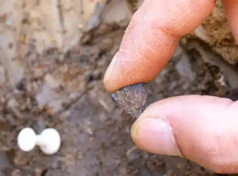 Imagen 1 de Los neandertales encendieron el primer fuego de la humanidad