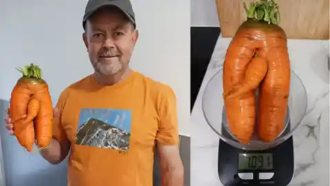 Imagen 1 de Un vecino de Urretxu cosecha una zanahoria gigante en su huerta: "Nunca me imaginé ver algo así"