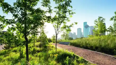 Imagen 1 de Jardines que inspiran