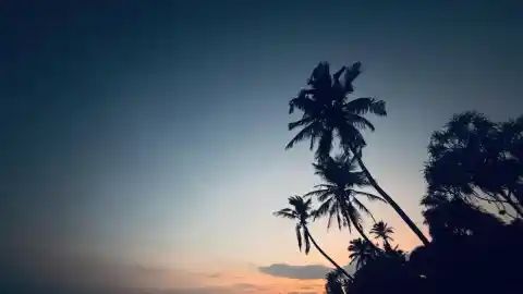 Imagen 1 de Meditaciones antes de la tormenta en Tangalle