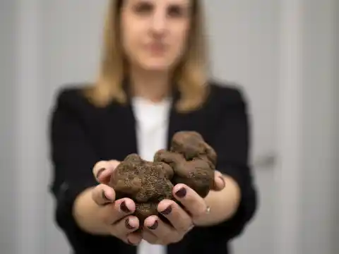 Imagen 1 de El éxito de emprender en Soria con nombre de mujer