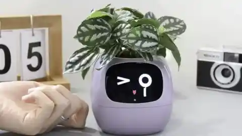 Imagen 1 de Un macetero inteligente quizás no estaba en tu quiniela, pero es realmente útil