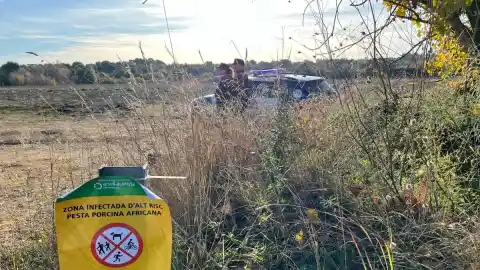 Imagen 1 de IRTA-CReSA: “No hay evidencia científica que explique el origen del brote”