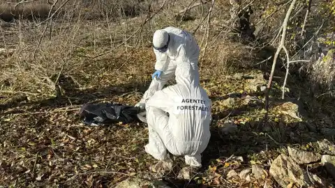 Imagen 1 de Alerta en Madrid por la aparición de cuatro focos de gripe aviar, tras dar positivo las cigüeñas muertas