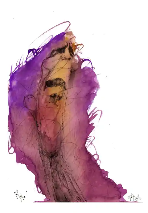 Imagen 1 de Robe, visto por Sciammarella