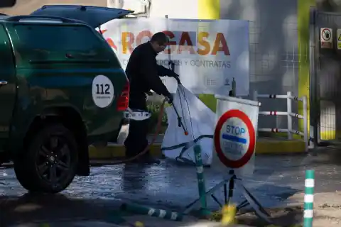 Imagen 1 de El laboratorio de Bellaterra experimentaba con el virus de la peste porcina africana cuando apareció el primer jabalí infectado a cientos de metros