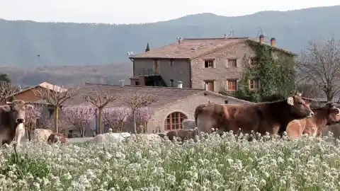 Imagen 1 de Sobremesas que piden descanso: restaurantes de Catalunya donde merece la pena alojarse