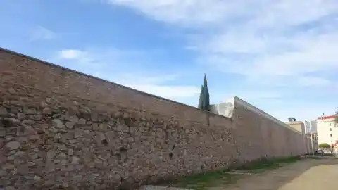 Imagen 1 de ¿Eres capaz de ver la urraca en menos de 30 segundos?