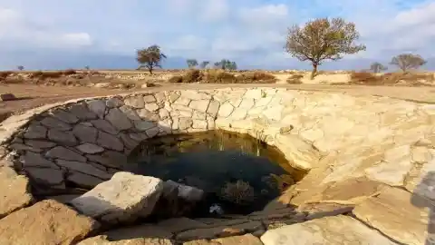 Imagen 1 de La fuente más amarga