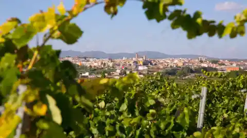 Imagen 1 de La localidad nombrada Ciudad Española del Vino 2026: un rico patrimonio histórico y lugar de nacimiento de Pablo Motos