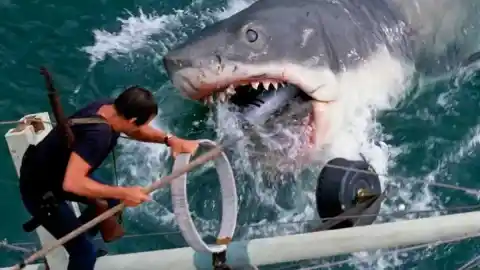 Imagen 1 de En pantalla grande: los clásicos regresan para llenar las salas de cine