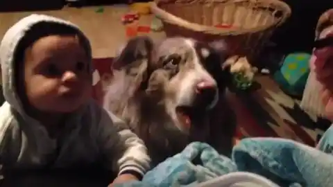 Imagen 1 de Una mujer intenta que su hijo aprenda a decir "mamá", pero su perro se adelanta