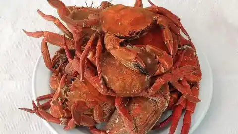 Imagen 1 de El marisco, mejor fresco: cómo cocer nécoras y centollos para conservar todo su sabor