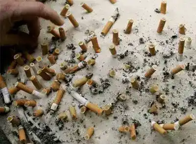 Imagen 1 de Las personas una a una