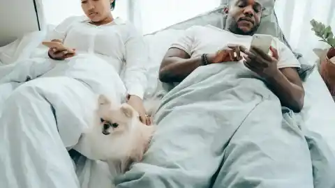 Imagen 1 de Cuando la intimidad de la pareja se convierte en un problema… para el perro