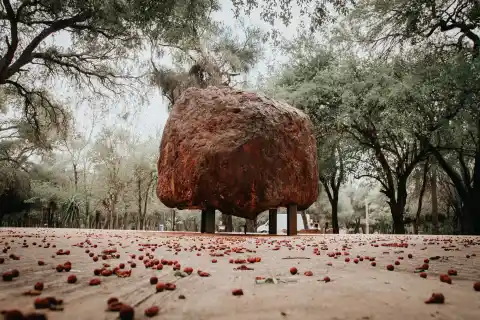 Imagen 1 de Los guardianes de los meteoritos del Chaco argentino